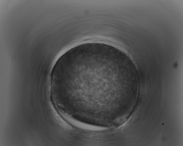 X0000093491522200710191217
