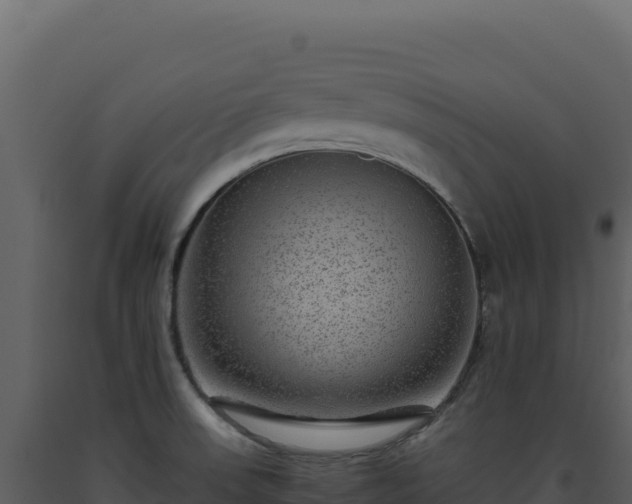 X0000093491523200710191217