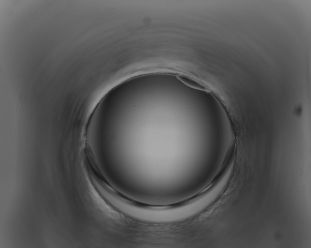 X0000093491524200710191217