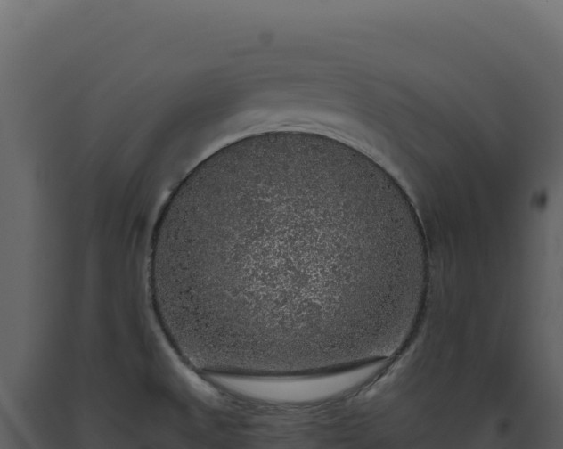 X0000093491525200710191217