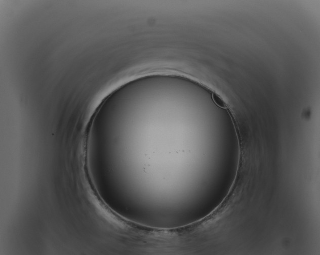 X0000093491526200710191217