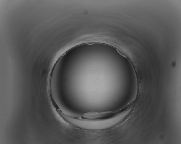 X0000093491528200710191217