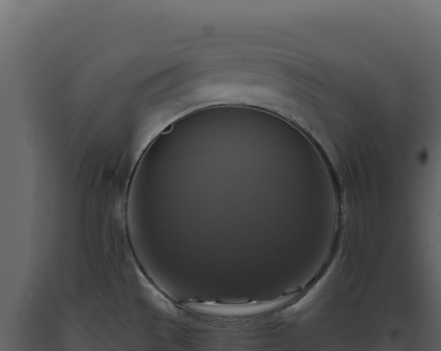 X0000093491529200710191217
