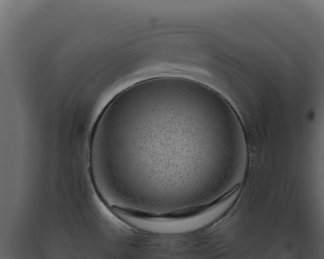 X0000093491531200710191217