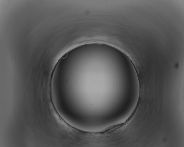 X0000093491534200710191217