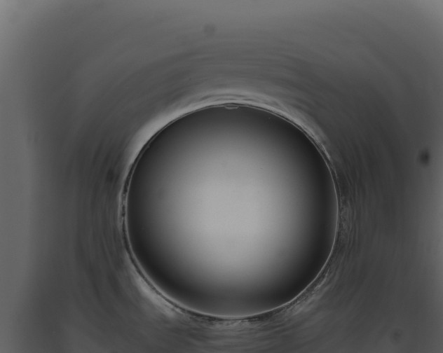 X0000093491535200710191217
