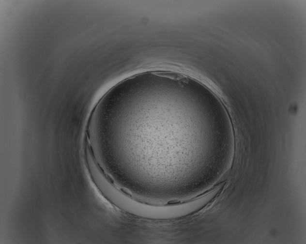 X0000093491536200710191217