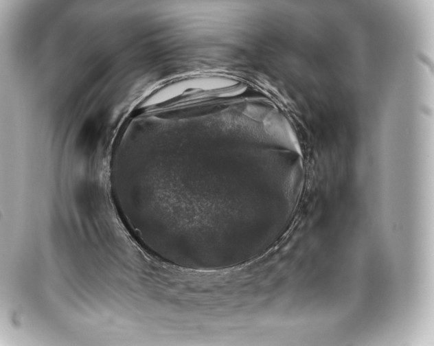 X0000093490002200710261126