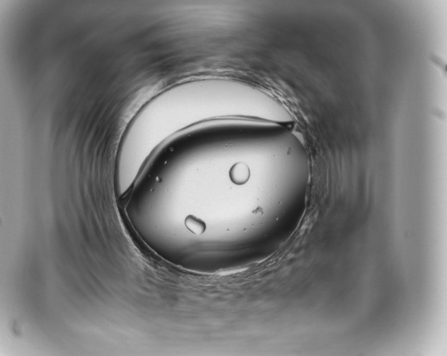 X0000093490003200710261126