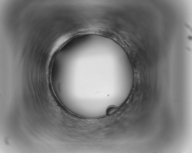 X0000093490006200710261126