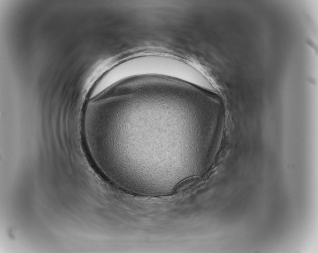 X0000093490007200710261126