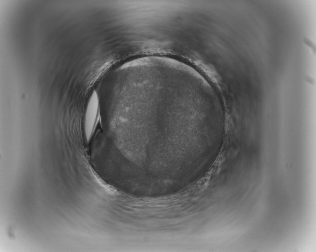 X0000093490009200710261126