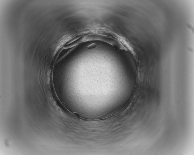 X0000093490010200710261126