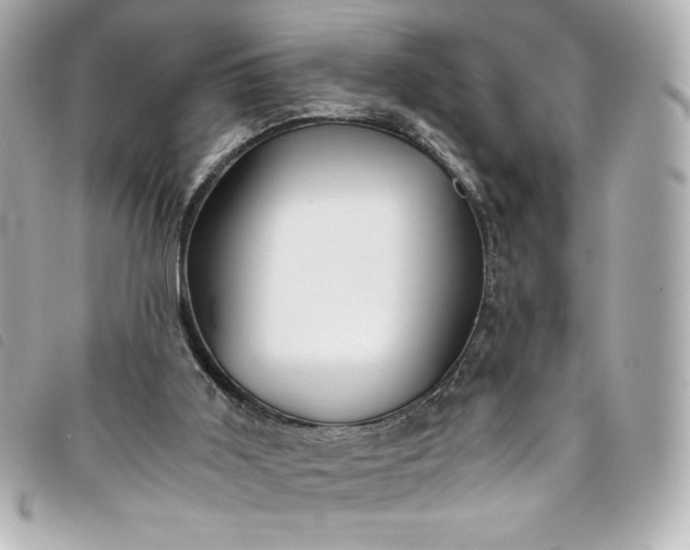 X0000093490011200710261126