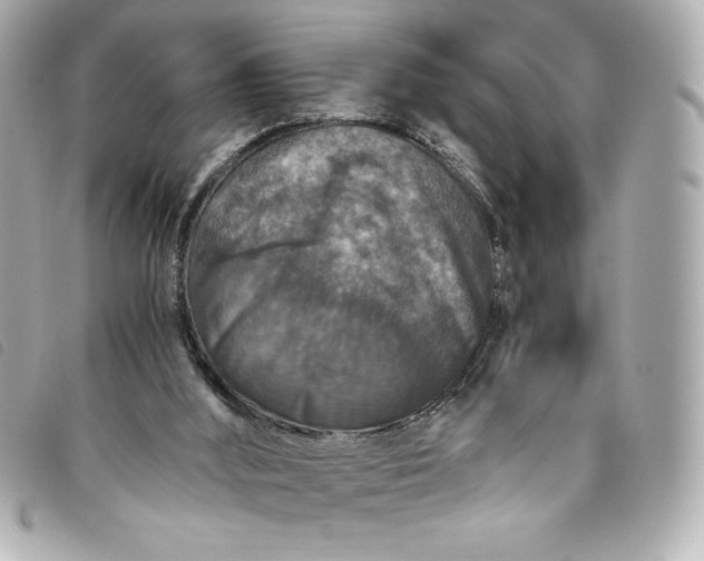 X0000093490012200710261126