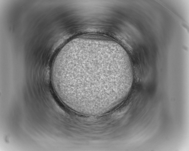 X0000093490016200710261125