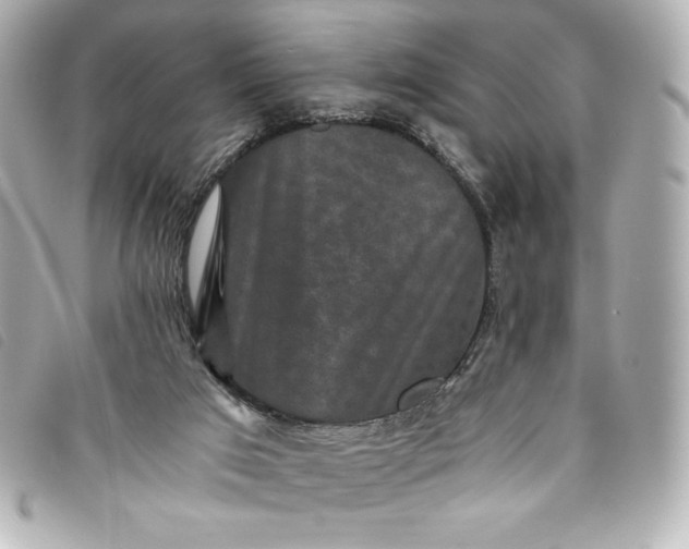 X0000093490017200710261125