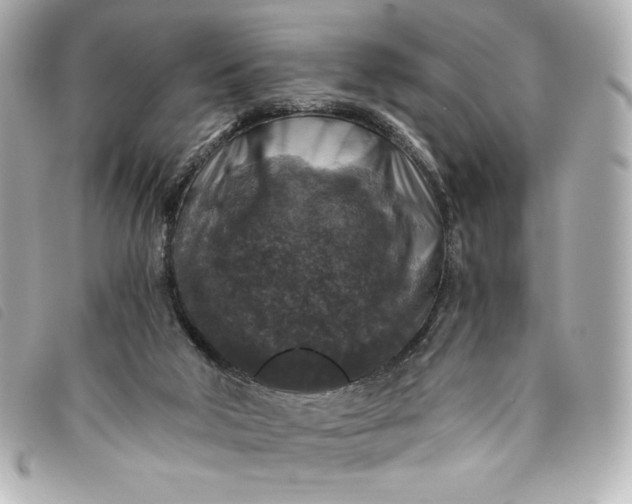 X0000093490018200710261125