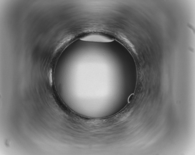 X0000093490020200710261125