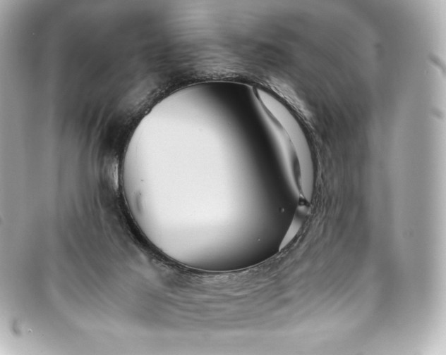 X0000093490021200710261125