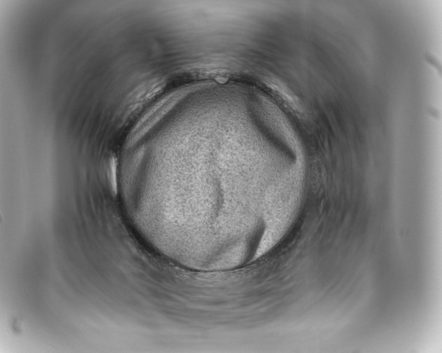 X0000093490022200710261125