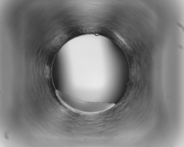 X0000093490025200710261125