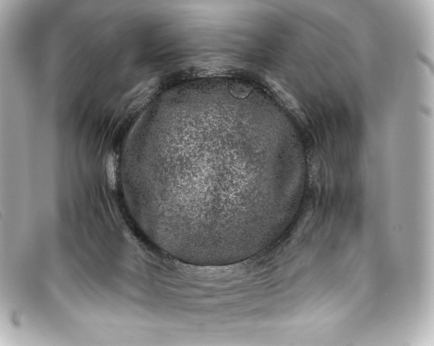 X0000093490026200710261125