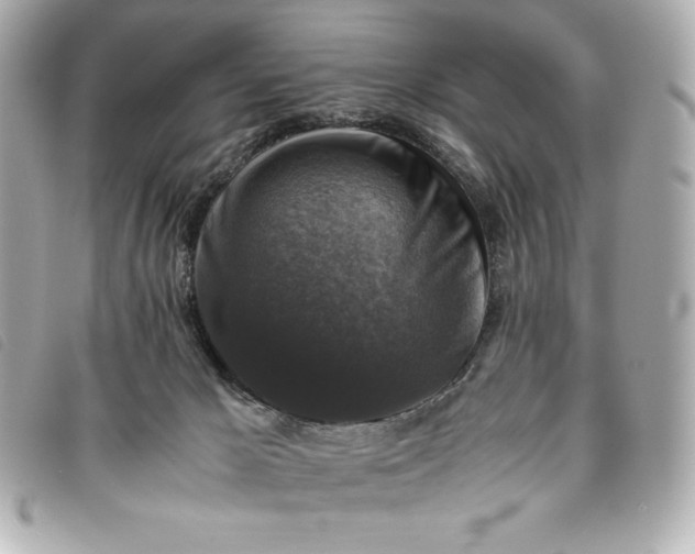 X0000093490029200710261125