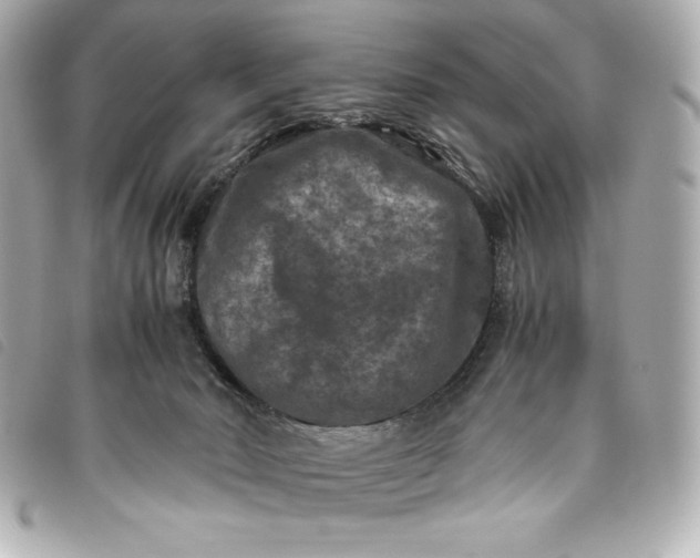 X0000093490030200710261125