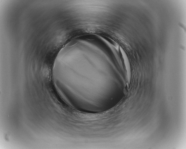 X0000093490031200710261125