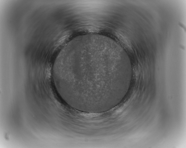 X0000093490032200710261125