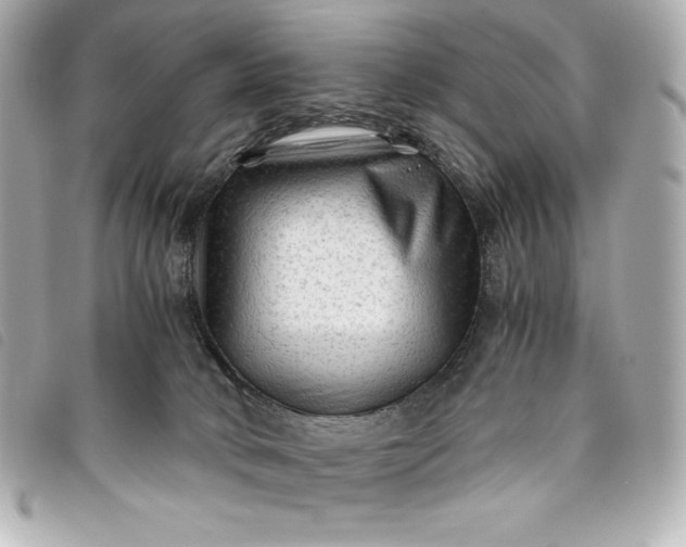 X0000093490034200710261125