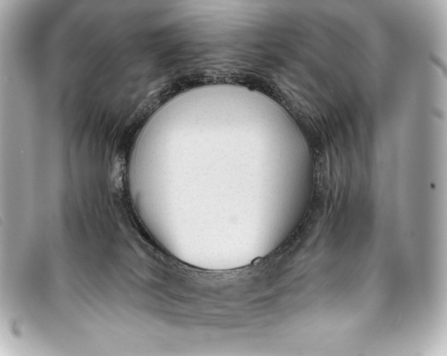 X0000093490038200710261125