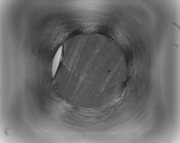 X0000093490041200710261125