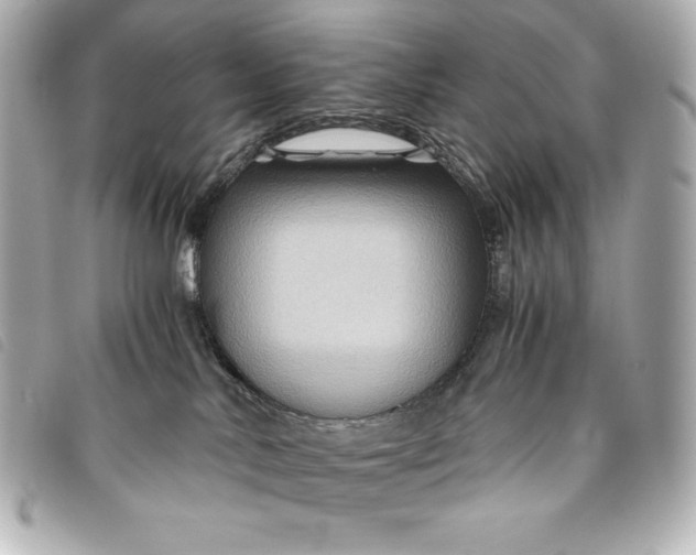 X0000093490042200710261125