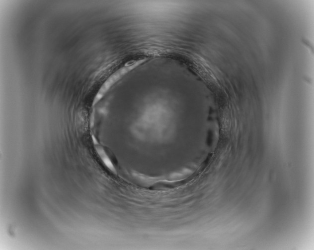 X0000093490043200710261125