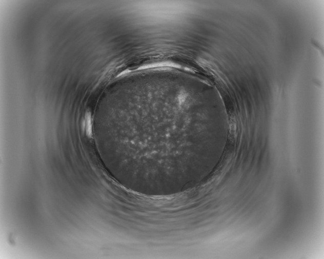 X0000093490046200710261125