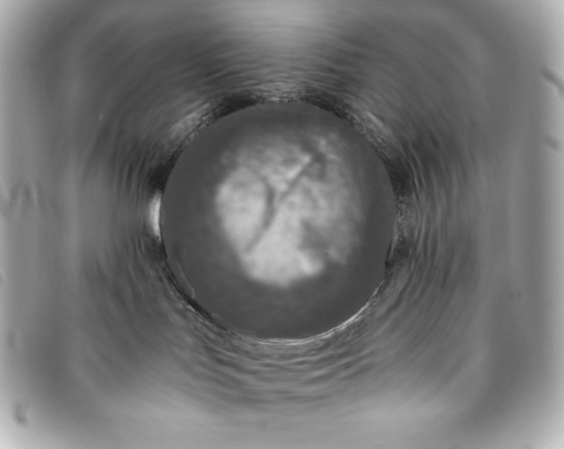 X0000093490047200710261125