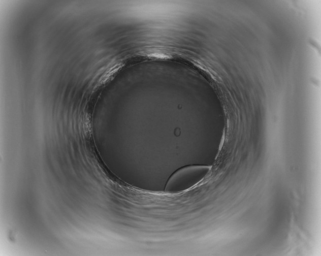 X0000093490048200710261125