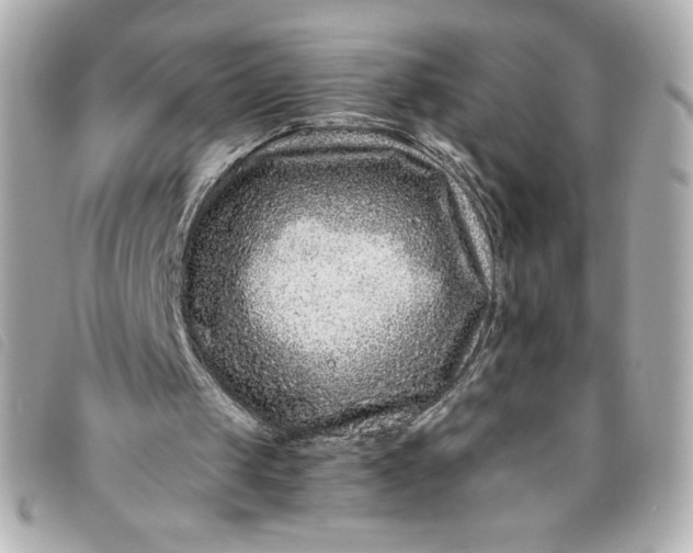 X0000093490049200710261125