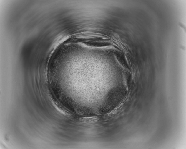 X0000093490050200710261125