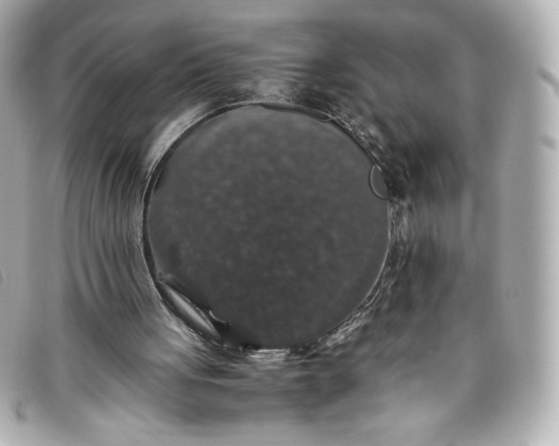 X0000093490051200710261125