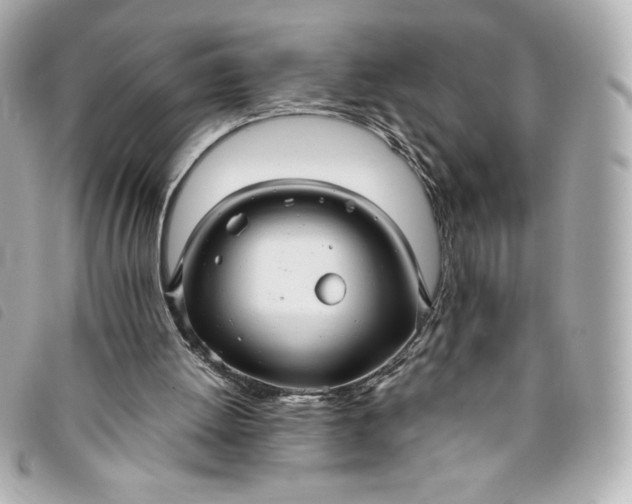 X0000093490052200710261125