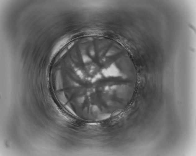 X0000093490053200710261125