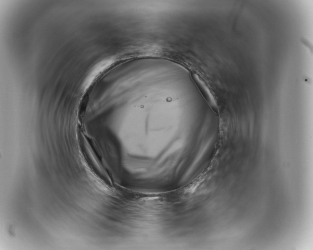 X0000093490054200710261125