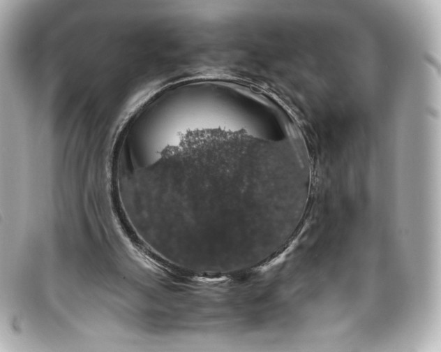 X0000093490055200710261125