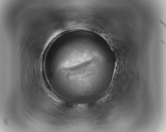 X0000093490056200710261125