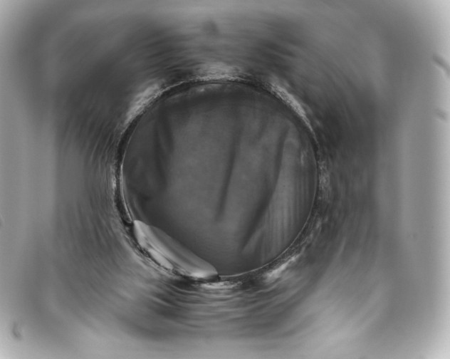 X0000093490059200710261125