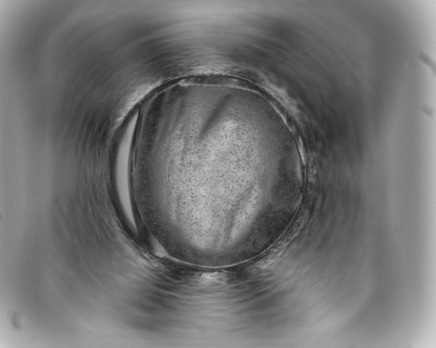 X0000093490060200710261125