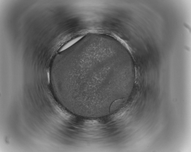 X0000093490061200710261125